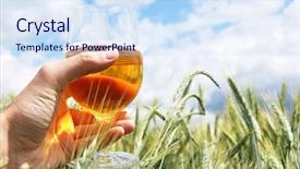  Presentation with beer bar pub tap counter - Presentation theme enhanced with hops plant - glass of beer background and a sky blue colored foreground