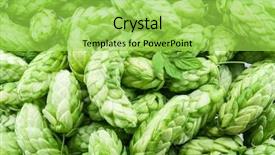  Presentation with green - Slide deck enhanced with hops plant - green hop cones - ingredient background and a  colored foreground