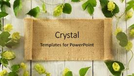  Presentation with plant - Presentation consisting of hops plant - hop cones on wooden background background and a yellow colored foreground