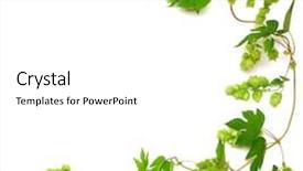  Presentation with hops - Slide deck having hops plant twined vine young background and a white colored foreground