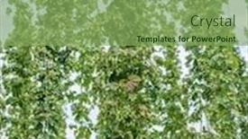  Presentation with hops - Cool new theme with hops-yard-hops-plants-climbing backdrop and a seafoam green colored foreground