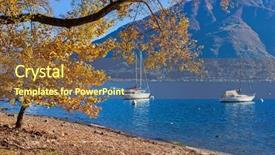  Presentation with yellow leaves of ginkgo biloba - Presentation enhanced with hores - tree with yellow leaves background and a tawny brown colored foreground