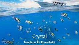  Presentation with coral reef - Amazing theme having underwater coral reef with horizon backdrop and a teal colored foreground