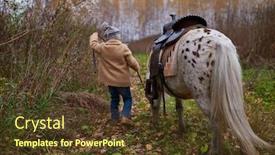  Presentation with shot - Presentation theme having horizontal-back-view-shot background and a tawny brown colored foreground