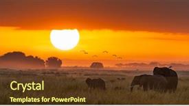  Presentation with social media - Slide set with horizontal banner in popular social background and a tawny brown colored foreground