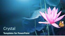  Presentation with lily lotus flower water - Audience pleasing slide set consisting of horizontal-banner-with-beautiful-pink backdrop and a ocean colored foreground