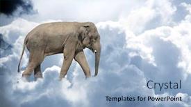  Presentation with elephant - Beautiful slide set featuring horizontal-banner-with-elephant-above backdrop and a light blue colored foreground