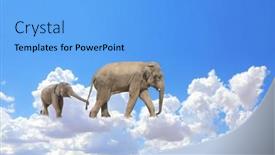  Presentation with mom baby - Slides having horizontal-banner-with-elephant-family background and a light blue colored foreground