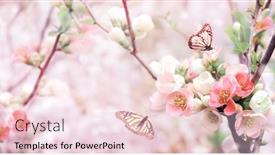  Presentation with japanese flowers - Presentation theme with horizontal-banner-with-japanese-quince background and a lemonade colored foreground