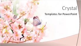  Presentation with japanese flowers - Presentation enhanced with horizontal-banner-with-japanese-quince background and a cream colored foreground