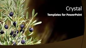  Presentation with olive tree branch ripe - Presentation theme enhanced with horizontal-banner-with-ripe-black background and a black colored foreground