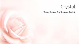  Presentation with wedding card - PPT layouts featuring horizontal-banner-with-rose background and a cream colored foreground