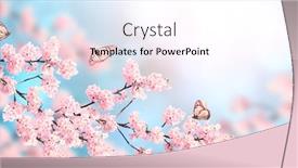  Presentation with pink flowers - Cool new theme with horizontal-banner-with-sakura-flowers backdrop and a white colored foreground