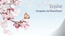  Presentation with butterflies - Slide deck featuring horizontal-banner-with-sakura-flowers background and a sky blue colored foreground
