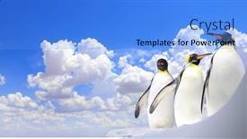  Presentation with banner blue - Presentation theme enhanced with horizontal-banner-with-three-emperor background and a light blue colored foreground