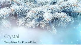  Presentation with banner blue - Beautiful slide set featuring horizontal-christmas-background-with-branch backdrop and a sky blue colored foreground