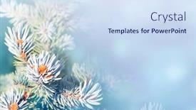  Presentation with banner blue - Theme featuring horizontal-christmas-background-with-branch background and a sky blue colored foreground
