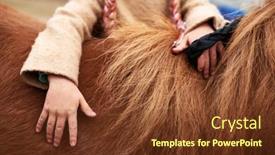  Presentation with shot - Colorful theme enhanced with horizontal-close-up-shot backdrop and a tawny brown colored foreground