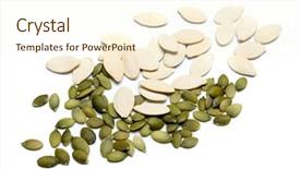  Presentation with seed - Presentation design enhanced with seed isolated on white background background and a cream colored foreground