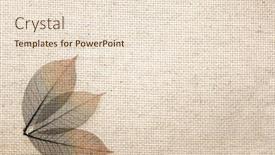  Presentation with vertical - Presentation theme featuring horizontal-or-vertical-background background and a lemonade colored foreground