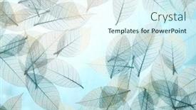  Presentation with vertical - Slide set enhanced with horizontal-or-vertical-nature-background background and a sky blue colored foreground