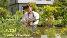  Presentation with nursing care plan - PPT layouts enhanced with horizontal-outdoors-shot-of-professional background and a tawny brown colored foreground