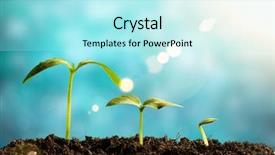  Presentation with seedling - Theme with horizontal progress - green seedling growing background and a arctic colored foreground