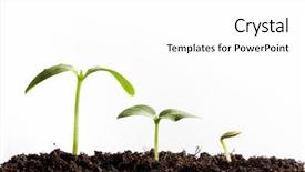  Presentation with seedling - Audience pleasing PPT theme consisting of horizontal progress - vintage seedling growing backdrop and a white colored foreground