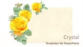  Presentation with rose yellow - Colorful theme enhanced with horizontal-retro-card-with-branch backdrop and a cream colored foreground