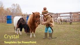  Presentation with horse child - Cool new PPT theme with horizontal-shot-of-child-spending backdrop and a coral colored foreground