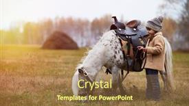  Presentation with shot - Beautiful presentation theme featuring horizontal-side-view-shot backdrop and a tawny brown colored foreground