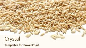  Presentation with brown rice - Cool new presentation with horizontal view of brown rice backdrop and a cream colored foreground
