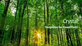  Presentation with green nature - PPT theme enhanced with hornbeam - forest trees nature green wood background and a  colored foreground