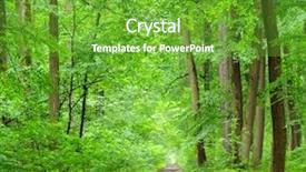  Presentation with mountains forests green forest - Slide deck enhanced with hornbeam - green forest background and a tawny brown colored foreground