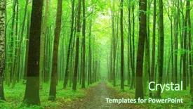  Presentation with path - Theme with hornbeam - path is in the green background and a forest green colored foreground