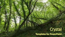  Presentation with west - PPT theme enhanced with hornbeam temperate forest in south background and a tawny brown colored foreground