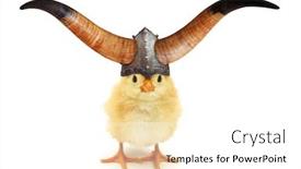  Presentation with chick - Slide deck having horned-chick-viking-with-helmet background and a white colored foreground