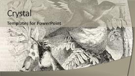  Presentation with paris - Theme with horned sungem old illustration heliactin bilophus created by kretschmer published on merveilles de la nature bailliere et fils paris ca 1878 background and a mint green colored foreground