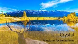  Presentation with abraham - PPT layouts enhanced with horns resting on lake abraham background and a gold colored foreground