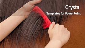  Presentation with horse riding - Slide deck consisting of rider combing a horse's mane background and a tawny brown colored foreground