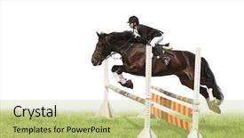  Presentation with white horse - Beautiful presentation featuring horse and woman - isolated backdrop and a mint green colored foreground