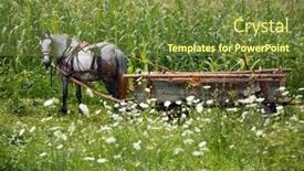  Presentation with wild horse - PPT theme having horse-and-wood-carriage background and a tawny brown colored foreground