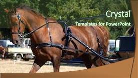  Presentation with working - Colorful presentation theme enhanced with horse buggy - carriage pony working backdrop and a  colored foreground
