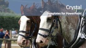  Presentation with horse - Slide deck featuring horse buggy - clydesdales in harness background and a seafoam green colored foreground