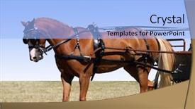  Presentation with isolation - Beautiful presentation design featuring horse buggy - partial isolation of a pony backdrop and a light blue colored foreground