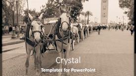  Presentation with horse - Theme consisting of horse-carriage-for-tourist background and a coral colored foreground