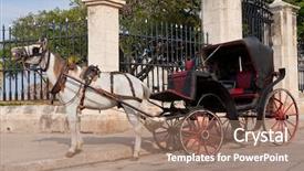  Presentation with horse and carriage isolated - Colorful PPT theme enhanced with horse carriage in old havana backdrop and a coral colored foreground