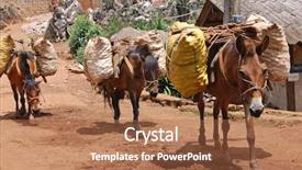  Presentation with fruit - Presentation theme featuring horse cart - ponies carrying fruit produce background and a coral colored foreground