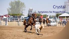  Presentation with rodeo - Cool new PPT theme with horse cow - calf roping image backdrop and a  colored foreground
