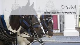  Presentation with charleston - Presentation theme having horse drawn carriage in charleston south carolina background and a light gray colored foreground